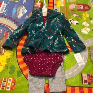 CARTERS 3 piece set , 12 months , purple , gray & green